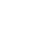 Vera Outline White
